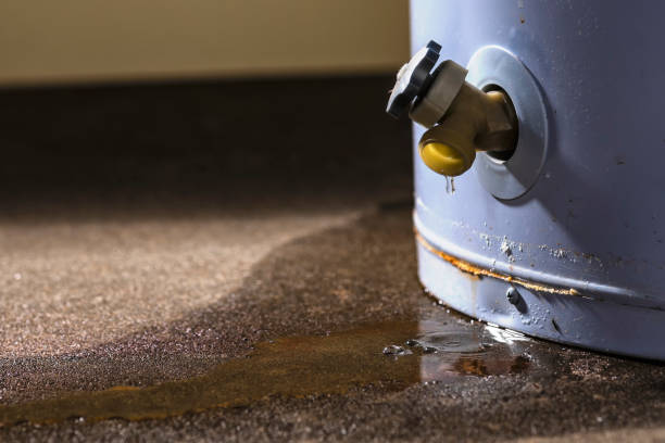 Best Water damage cleanup near me  in Allen, TX
