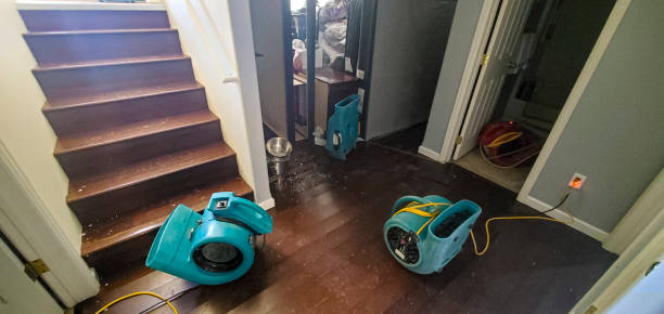 Best 24-hour water damage restoration  in Allen, TX