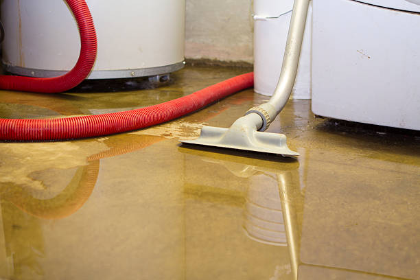 Reliable TX Water damage restoration Solutions