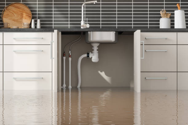 Best Water damage restoration near me  in Allen, TX