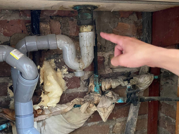 Best Flooded house restoration  in Allen, TX