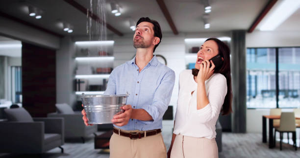 Best Basement water damage restoration  in Allen, TX